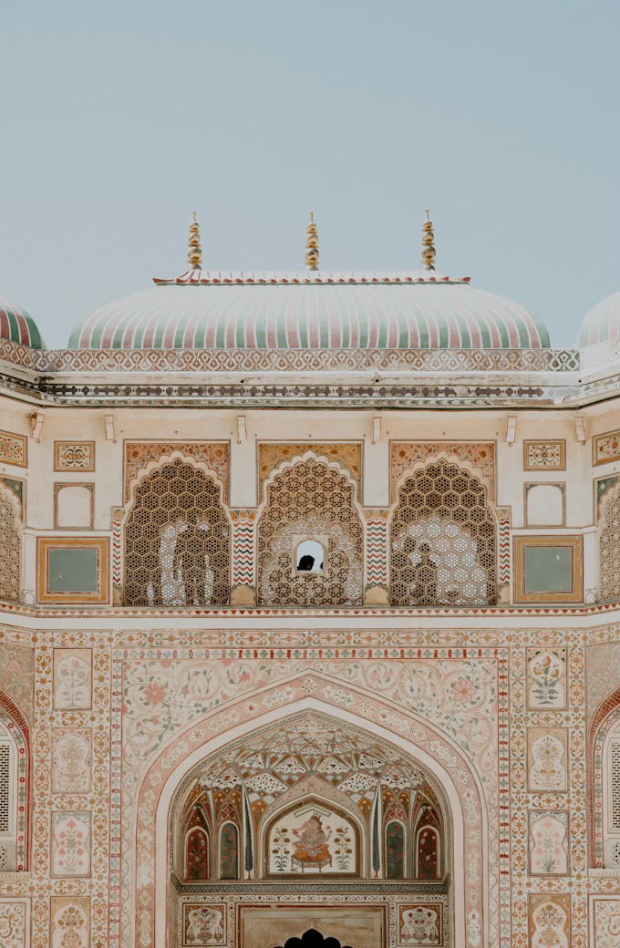 Rajasthan du Nord : Safaris & Forteresses